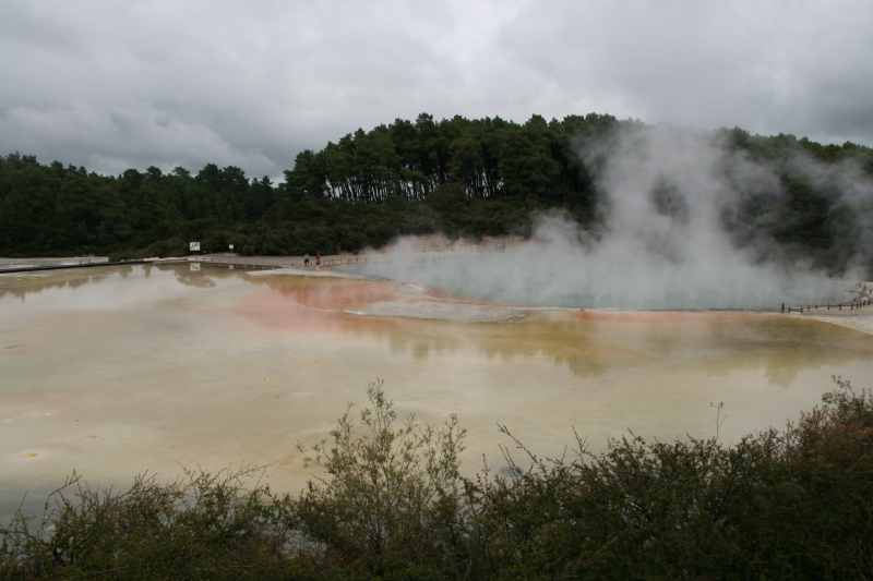 Nieuw-Zeeland 2011 - 0755